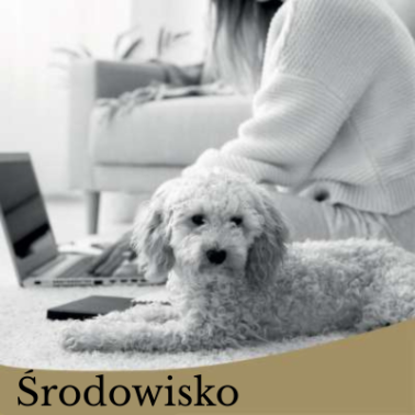 Środowisko