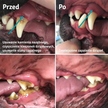 Cleany Teeth - ultradźwiękowa szczoteczka dla zwierząt (9)