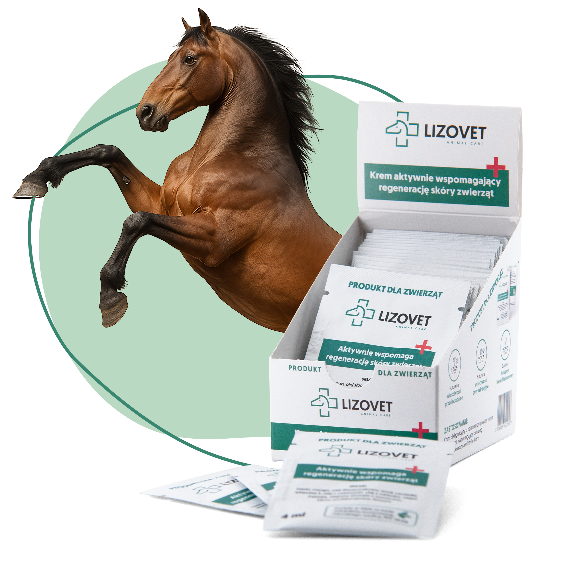 Maść na rany dla zwierząt – Lizovet 150ml (7)