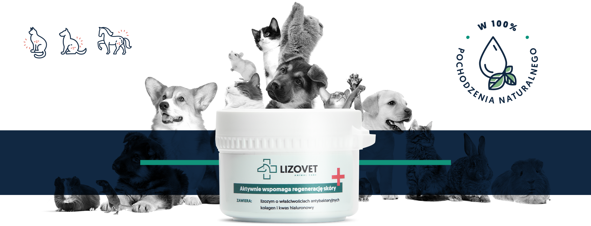 Maść na rany dla zwierząt – Lizovet 150ml (4)